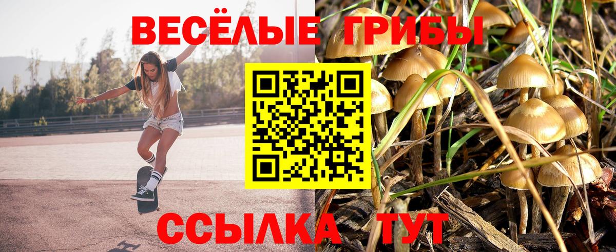 Псилоцибиновые грибы мухоморы Саров