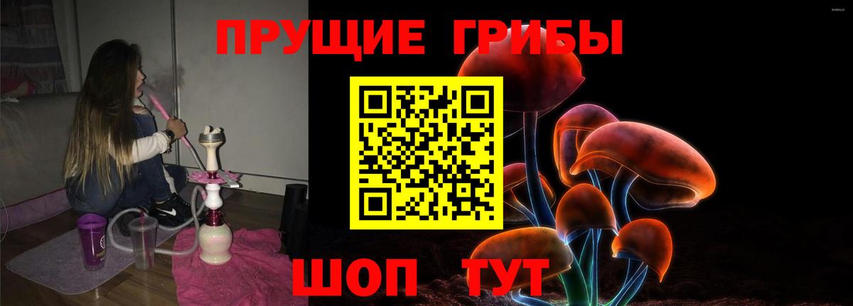где найти наркотики  Псилоцибиновые грибы прущие грибы  Вход с VPN  Галлюциногенные грибы Psilocybe  Саров 